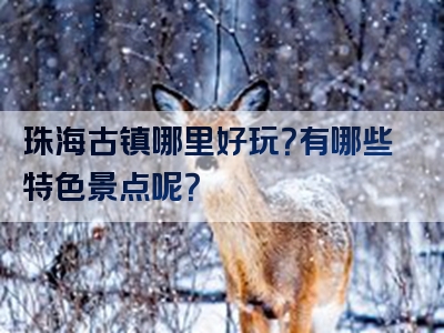 珠海古镇哪里好玩？有哪些特色景点呢？