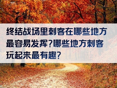 终结战场里刺客在哪些地方最容易发挥？哪些地方刺客玩起来最有趣？