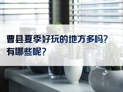 曹县夏季好玩的地方多吗？有哪些呢？