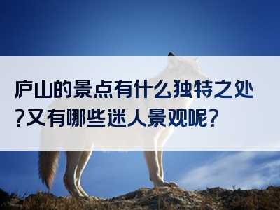 庐山的景点有什么独特之处？又有哪些迷人景观呢？