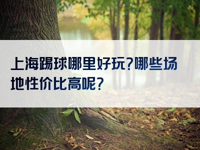 上海踢球哪里好玩？哪些场地性价比高呢？