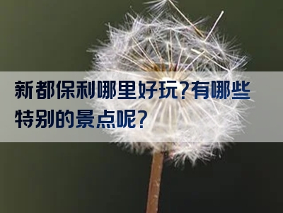 新都保利哪里好玩？有哪些特别的景点呢？