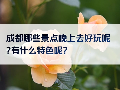 成都哪些景点晚上去好玩呢？有什么特色呢？