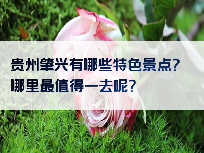 贵州肇兴有哪些特色景点？哪里最值得一去呢？