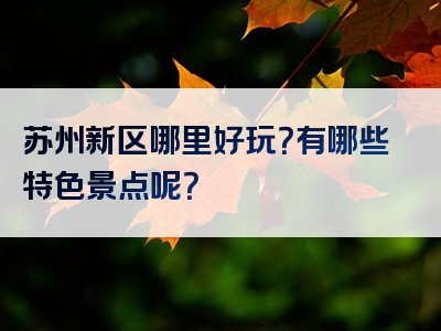 苏州新区哪里好玩？有哪些特色景点呢？