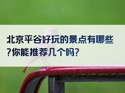 北京平谷好玩的景点有哪些？你能推荐几个吗？