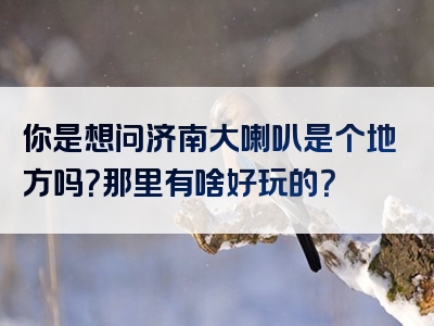 你是想问济南大喇叭是个地方吗？那里有啥好玩的？
