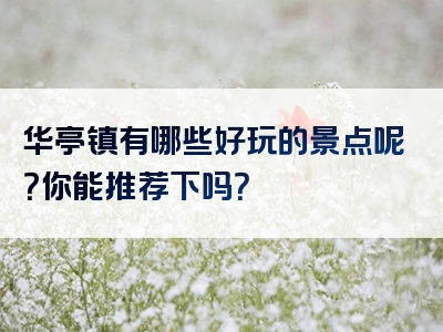 华亭镇有哪些好玩的景点呢？你能推荐下吗？