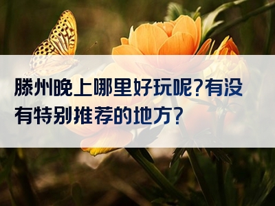 滕州晚上哪里好玩呢？有没有特别推荐的地方？