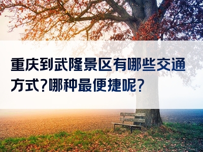 重庆到武隆景区有哪些交通方式？哪种最便捷呢？