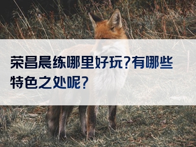 荣昌晨练哪里好玩？有哪些特色之处呢？