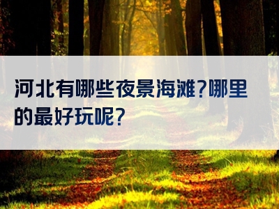河北有哪些夜景海滩？哪里的最好玩呢？