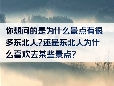 你想问的是为什么景点有很多东北人？还是东北人为什么喜欢去某些景点？