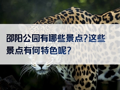 邵阳公园有哪些景点？这些景点有何特色呢？
