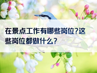 在景点工作有哪些岗位？这些岗位都做什么？