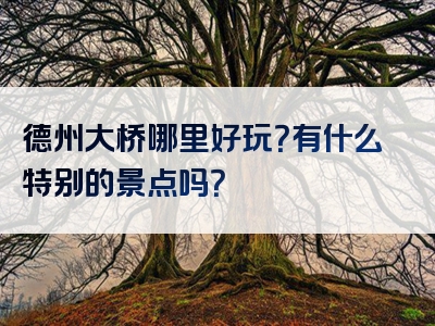 德州大桥哪里好玩？有什么特别的景点吗？