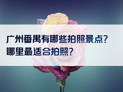 广州番禺有哪些拍照景点？哪里最适合拍照？