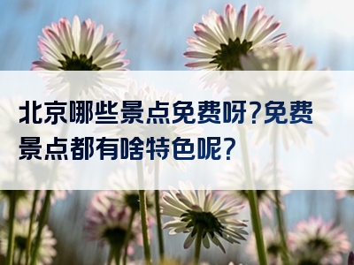 北京哪些景点免费呀？免费景点都有啥特色呢？