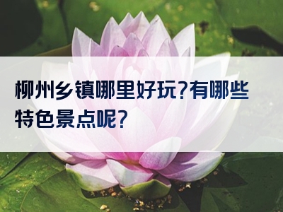 柳州乡镇哪里好玩？有哪些特色景点呢？