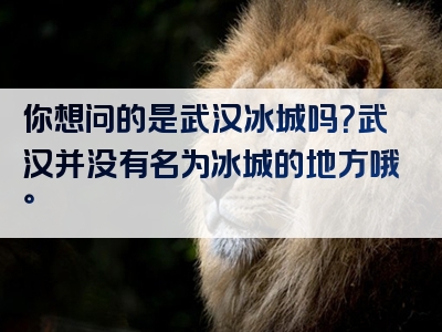 你想问的是武汉冰城吗？武汉并没有名为冰城的地方哦。