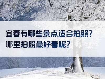 宜春有哪些景点适合拍照？哪里拍照最好看呢？
