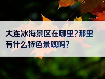 大连冰海景区在哪里？那里有什么特色景观吗？