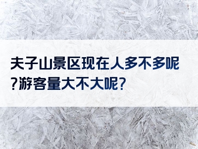 夫子山景区现在人多不多呢？游客量大不大呢？