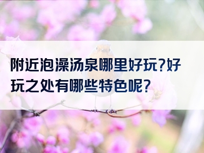 附近泡澡汤泉哪里好玩？好玩之处有哪些特色呢？