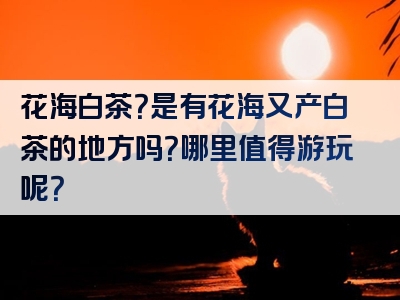花海白茶？是有花海又产白茶的地方吗？哪里值得游玩呢？