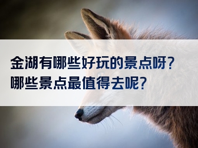 金湖有哪些好玩的景点呀？哪些景点最值得去呢？