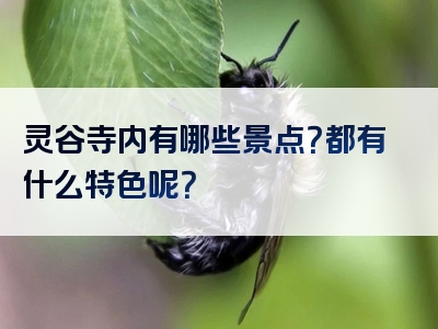 灵谷寺内有哪些景点？都有什么特色呢？