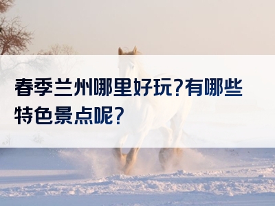春季兰州哪里好玩？有哪些特色景点呢？