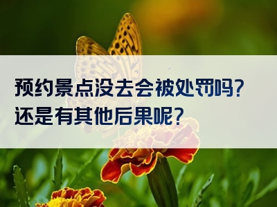 预约景点没去会被处罚吗？还是有其他后果呢？