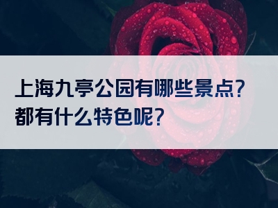 上海九亭公园有哪些景点？都有什么特色呢？