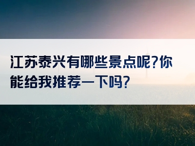 江苏泰兴有哪些景点呢？你能给我推荐一下吗？
