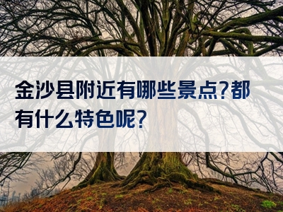 金沙县附近有哪些景点？都有什么特色呢？