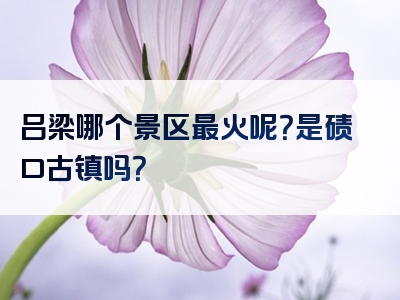 吕梁哪个景区最火呢？是碛口古镇吗？