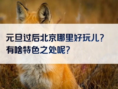 元旦过后北京哪里好玩儿？有啥特色之处呢？