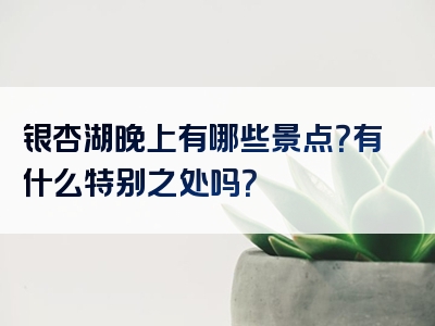 银杏湖晚上有哪些景点？有什么特别之处吗？