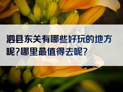 泗县东关有哪些好玩的地方呢？哪里最值得去呢？