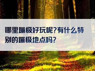 哪里蹦极好玩呢？有什么特别的蹦极地点吗？