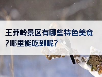 王莽岭景区有哪些特色美食？哪里能吃到呢？