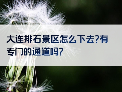 大连排石景区怎么下去？有专门的通道吗？