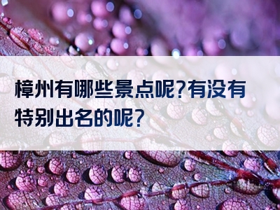 樟州有哪些景点呢？有没有特别出名的呢？