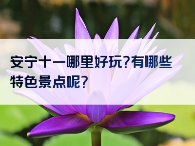 安宁十一哪里好玩？有哪些特色景点呢？