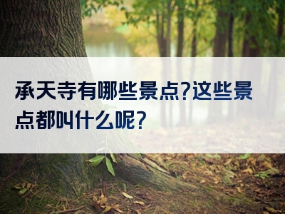 承天寺有哪些景点？这些景点都叫什么呢？