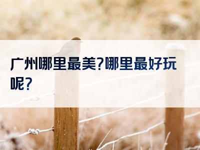 广州哪里最美？哪里最好玩呢？