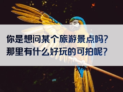 你是想问某个旅游景点吗？那里有什么好玩的可拍呢？