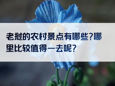 老挝的农村景点有哪些？哪里比较值得一去呢？