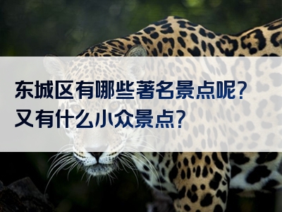 东城区有哪些著名景点呢？又有什么小众景点？